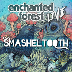 Enchanted Forest Live 2018 !!!
