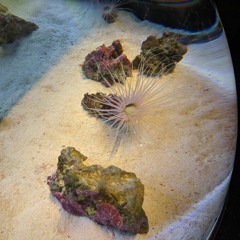 even better than i was the last time