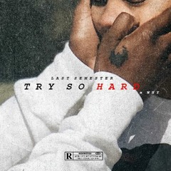 Try So Hard x Why