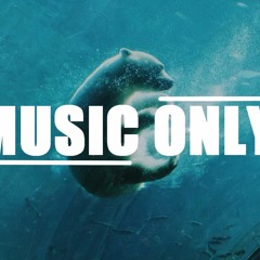 Wild - Lvly