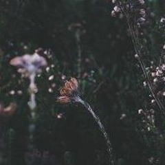 Tired (Prod. Discent)