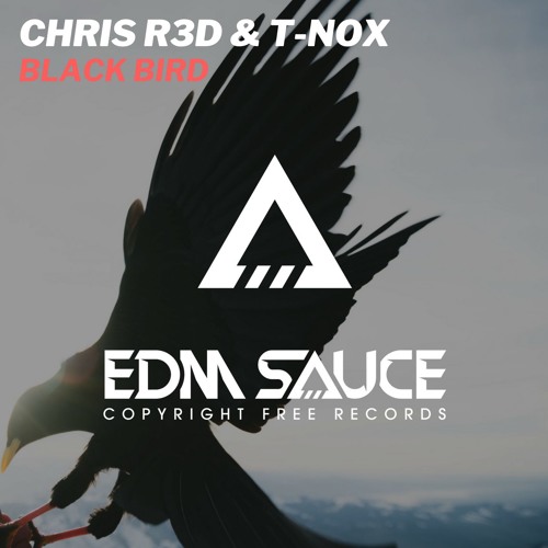 CHRIS R3D & T-NOX - Black Bird [EDM Sauce Copyright Free Records]
