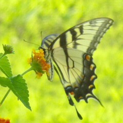 Please stand with me