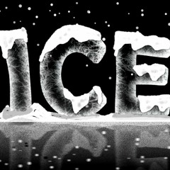 Ice (feat. Icey J)
