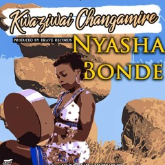Nyasha Bonde - Kwaziwai Changamire (Prod by Brave Records) Mbira Music Zimbabwe