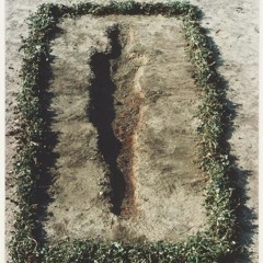 Fake Tan (Prod. Thom)