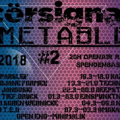 Technolf @ Störsignal Open air  7.7.18