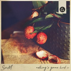 SwuM. - Nothing's Gonna Hurt U