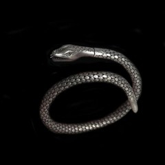 DISKIRZ & NIDHOGG - THE SERPENT