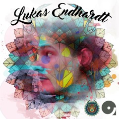 Lukas Endhardt presents Afterhour Sounds Podcast Nr.140 [KATZENSPRUNG FESTIVAL SPECIAL]