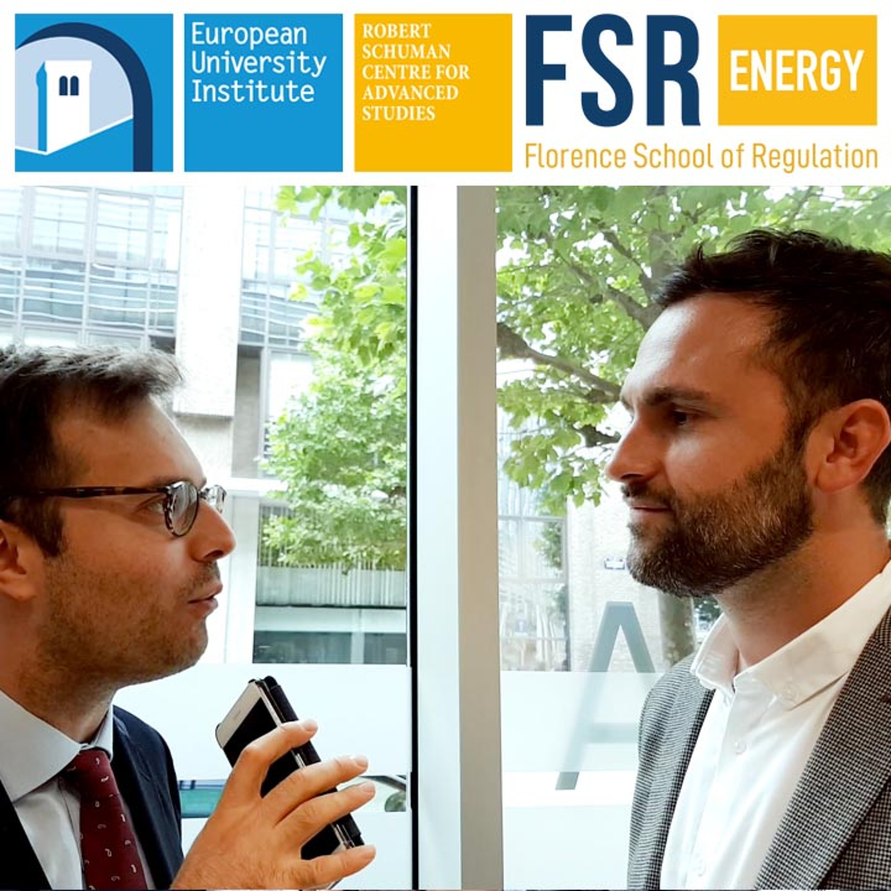 Flexibility from radio base stations | Miguel Pardo (Endesa) episode artwork