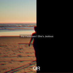 Per Pedersen - Tries To Be Me (Original Mix)