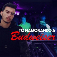 DJ NatanPRD - To Namorando a Budweiser (Remix Funk).mp3