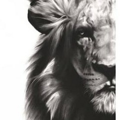 DJ Noiz- What a bam bam (remix)