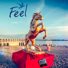 Cotumo @ Feel Festival 2018 (Sheepless Scheune)