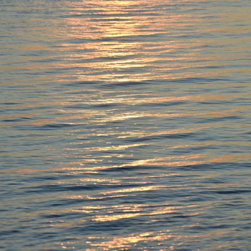 Dawn Breeze - Stephan Lipinski / Jamie Rhind