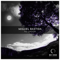 Miguel Bastida - Try On (Original Mix)