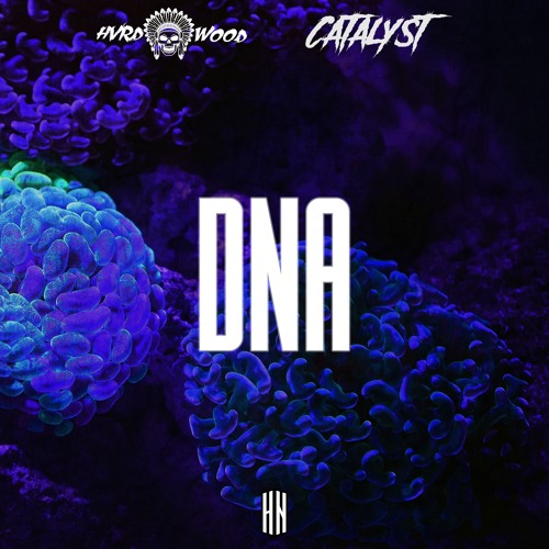 HVRDWOOD X Catalyst - DNA