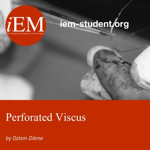 Perforated Viscus - Ozlem Dikme