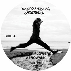 Download: Marco Lazovic - Goodbye Mr. Milky