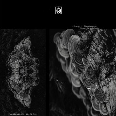 [NTS029] Svarog -  Transformers EP Inc. Alderaan & Aleja Sanchez Remixes