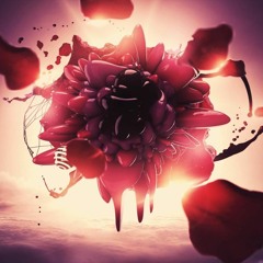 Teardrops And Passion