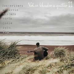 Vol. 22 - Under a guitar II