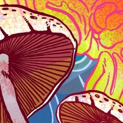 2018:06.23 - Michael Pollan - How to Change Your Mind