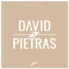 David Pietras - Bring On A Change [AXTONE]