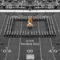 Jay NiCE aka NiCE SUPREME - PERFECT CELL PROD. BY $HY GUY