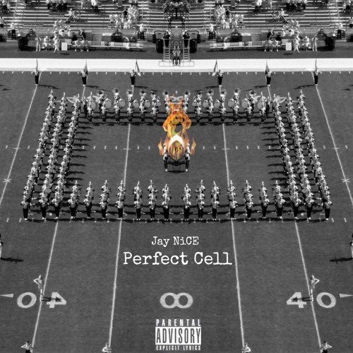 Jay NiCE aka NiCE SUPREME - PERFECT CELL PROD. BY $HY GUY