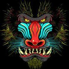 strange monkey