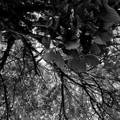 Super Natural - Turnover