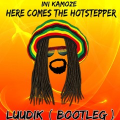Here Comes the Hotstepper ( Luudik Bootleg)