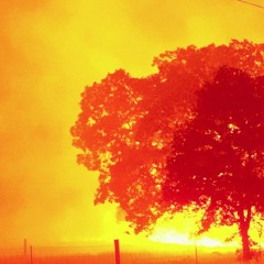 Acting Like That (instrumental) 1.0