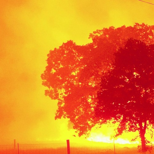 Acting Like That (instrumental) 1.0