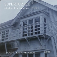 Superturtle - Student Flat Reunion