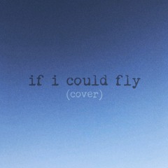 if i could fly