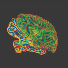 Beta - 20hz - Puro - 20min