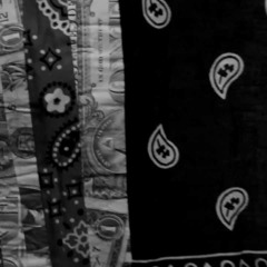 This Is Amerikkka (System RMX)