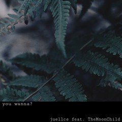 you wanna? - juellce