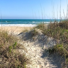 Driving To The Beach To Get You Off My Mind