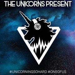 The Unicorns Present 07.03.18 - Erik Nelson