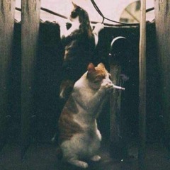 Từ Một Troái Tym Chân Thành <=3 Dance Trường Deeptry