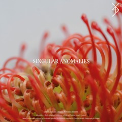 Lanthan.audio 012 - Singular Anomalies - Heuristic