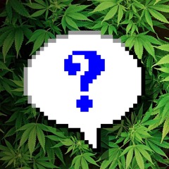 should i post another mix ?