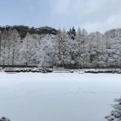 口笛を奏でて