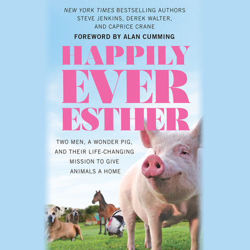 Listen to music albums featuring HAPPILY EVER ESTHER by Steve Jenkins