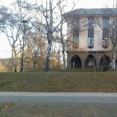 Episode 26 - Book Disasters