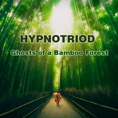 Hypnotriod - Ghosts of a Bamboo Forest. (Original Mix 126 BPM)